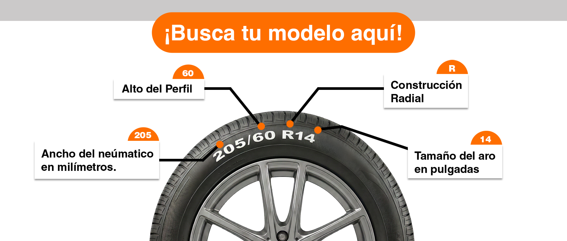 Diseño Medidas neumaticos Ecomerce Busca tu modelo aquí